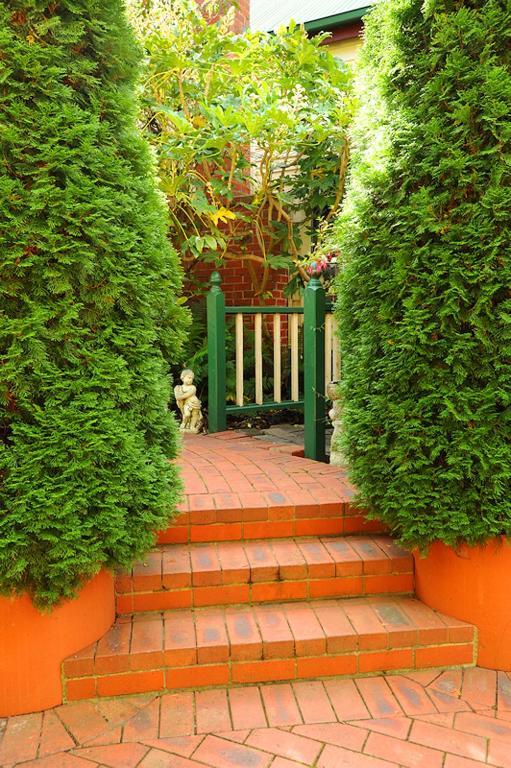 Bed and Breakfast Mary Cards Coach House Олінда Номер фото